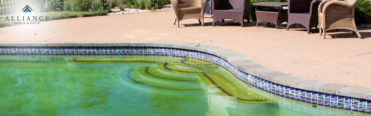 Get Rid of Algae and Turn Your Pool Water Clean